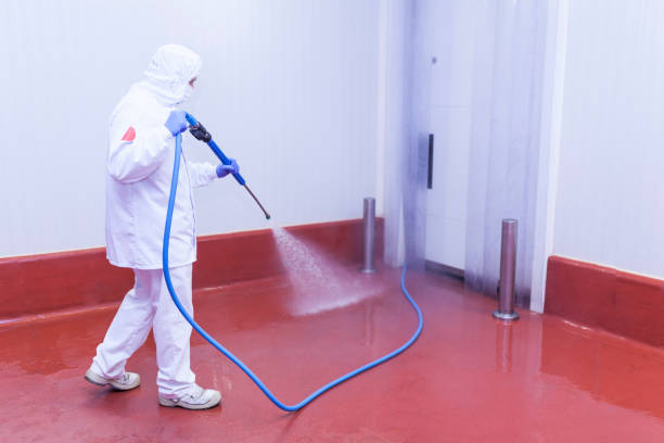 Best Building Exterior Washing  in Abaster, AL